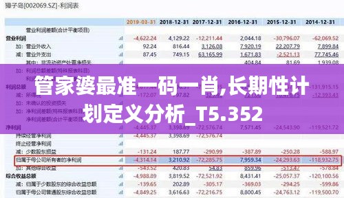 管家婆最准一码一肖,长期性计划定义分析_T5.352
