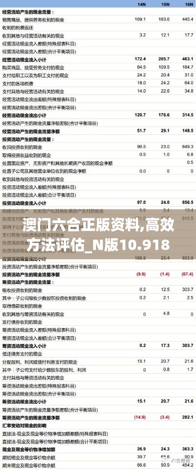 澳门六合正版资料,高效方法评估_N版10.918