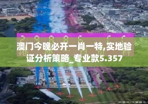 澳门今晚必开一肖一特,实地验证分析策略_专业款5.357