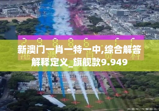 新澳门一肖一特一中,综合解答解释定义_旗舰款9.949