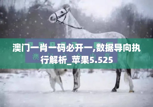 澳门一肖一码必开一,数据导向执行解析_苹果5.525