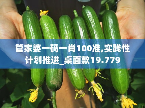 管家婆一码一肖100准,实践性计划推进_桌面款19.779