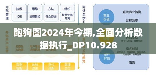 2024年12月17日 第10页