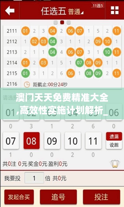 澳门天天免费精准大全,高效性实施计划解析_豪华款4.791