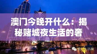 澳门今晚开什么：揭秘赌城夜生活的奢华与刺激