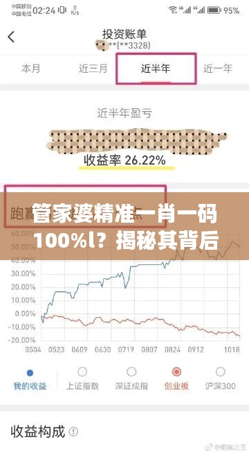 管家婆精准一肖一码100%l？揭秘其背后的投资策略与风险考量