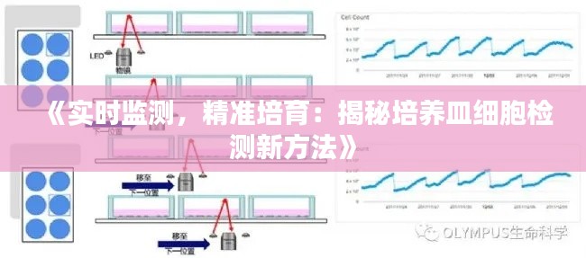 《实时监测，精准培育：揭秘培养皿细胞检测新方法》