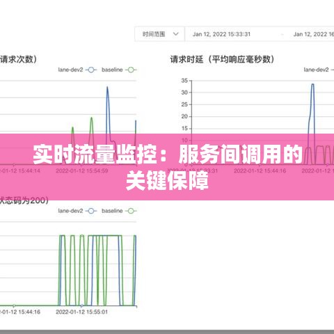 实时流量监控：服务间调用的关键保障