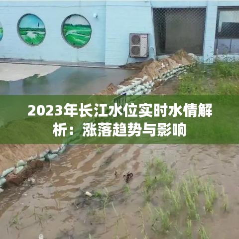 2023年长江水位实时水情解析：涨落趋势与影响