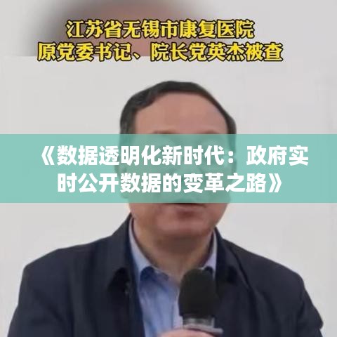 《数据透明化新时代：政府实时公开数据的变革之路》