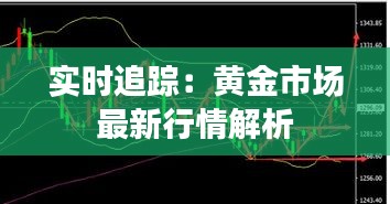 实时追踪：黄金市场最新行情解析