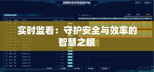 实时监看：守护安全与效率的智慧之眼