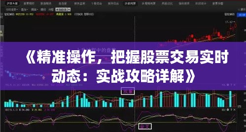 《精准操作，把握股票交易实时动态：实战攻略详解》