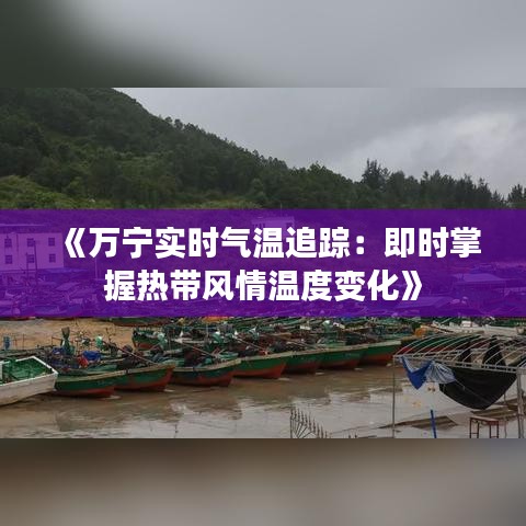 《万宁实时气温追踪：即时掌握热带风情温度变化》