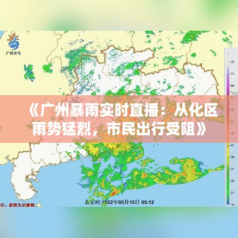 《广州暴雨实时直播：从化区雨势猛烈，市民出行受阻》