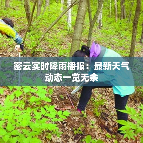 密云实时降雨播报：最新天气动态一览无余