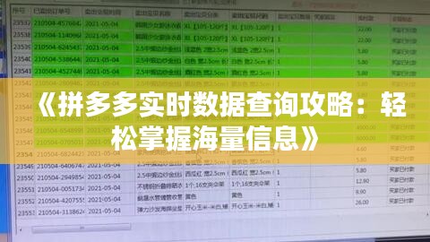 《拼多多实时数据查询攻略：轻松掌握海量信息》