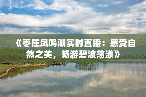 《枣庄凤鸣湖实时直播：感受自然之美，畅游碧波荡漾》