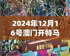 2024年12月16号澳门开特马第353期：盛事追踪