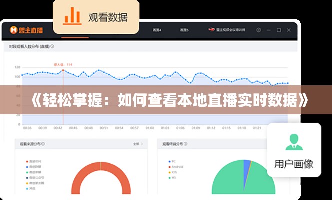 《轻松掌握：如何查看本地直播实时数据》