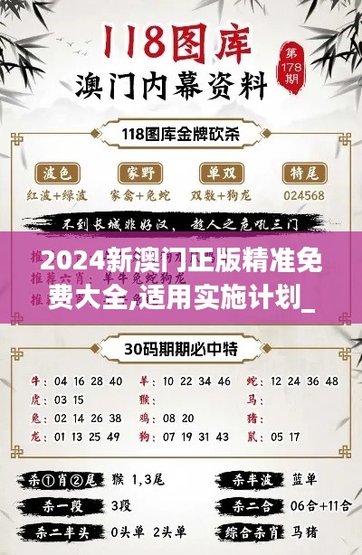 2024新澳门正版精准免费大全,适用实施计划_set10.305