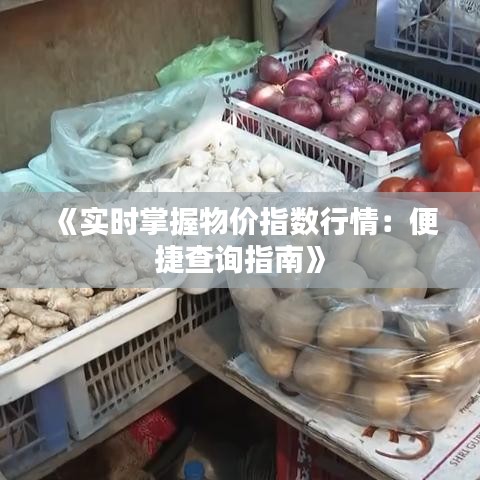 《实时掌握物价指数行情：便捷查询指南》