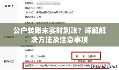 公户转账未实时到账？详解解决方法及注意事项