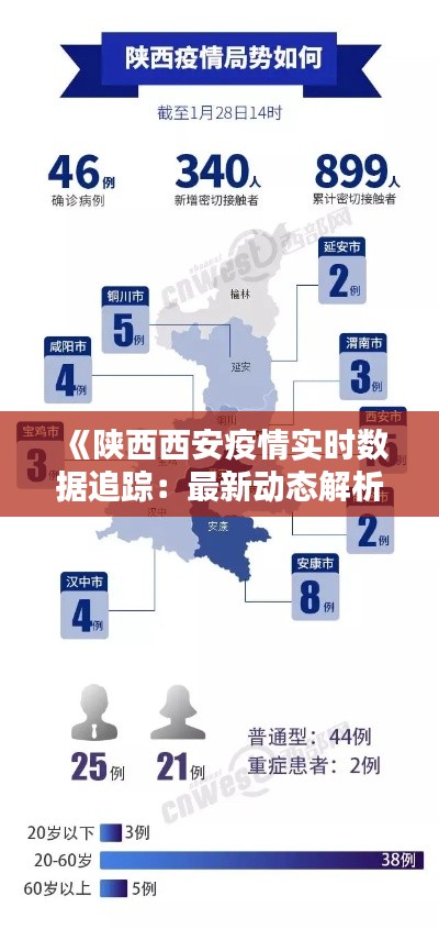 《陕西西安疫情实时数据追踪：最新动态解析》