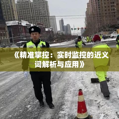 《精准掌控：实时监控的近义词解析与应用》