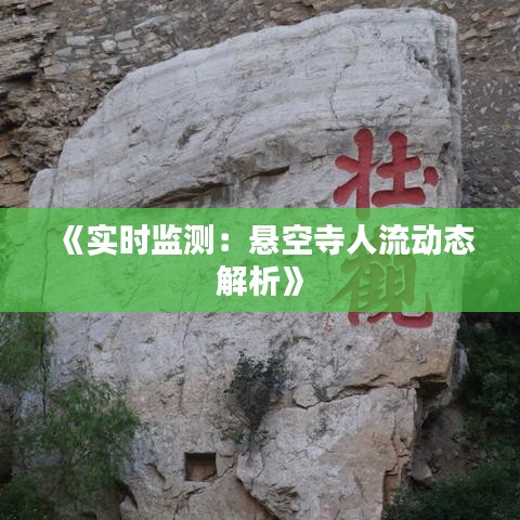 《实时监测：悬空寺人流动态解析》