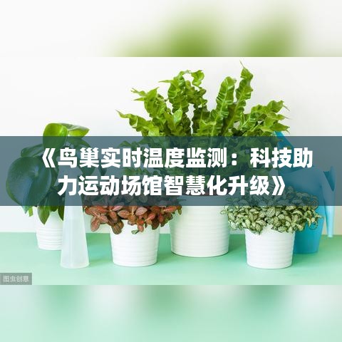 《鸟巢实时温度监测：科技助力运动场馆智慧化升级》