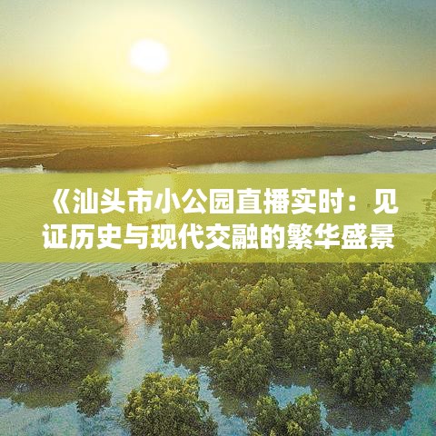 《汕头市小公园直播实时：见证历史与现代交融的繁华盛景》