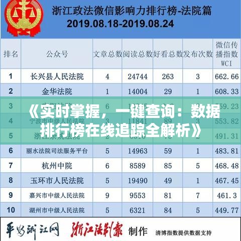 《实时掌握，一键查询：数据排行榜在线追踪全解析》