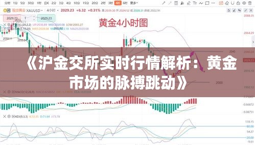 《沪金交所实时行情解析：黄金市场的脉搏跳动》