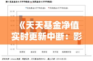 《天天基金净值实时更新中断：影响与应对策略解析》