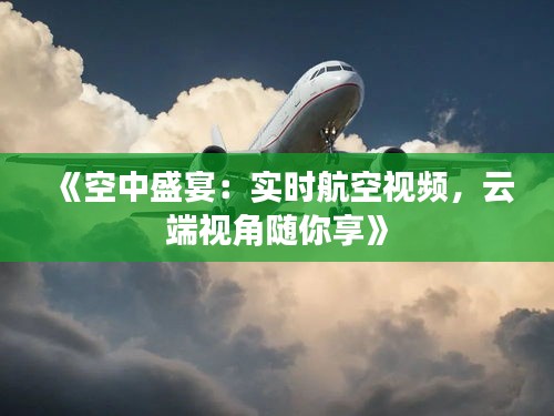 《空中盛宴：实时航空视频，云端视角随你享》