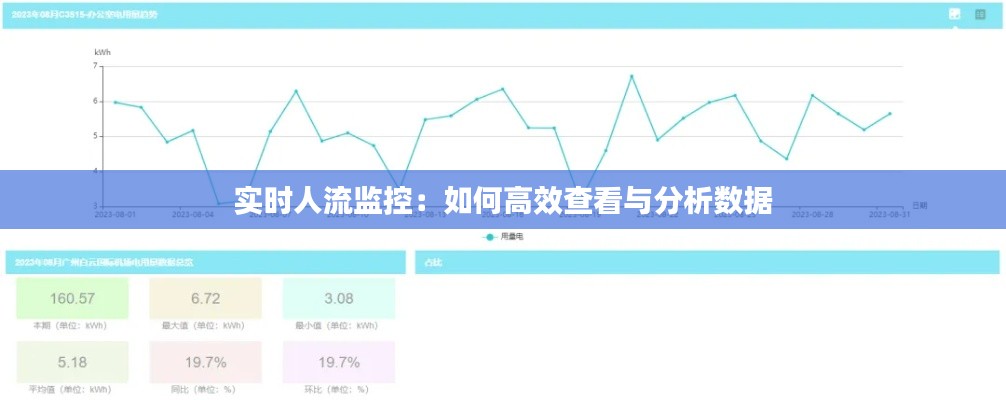 实时人流监控：如何高效查看与分析数据