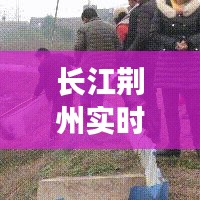 长江荆州实时水情：水位变化及应对措施详解