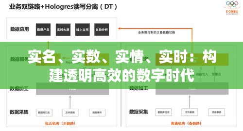 实名、实数、实情、实时：构建透明高效的数字时代