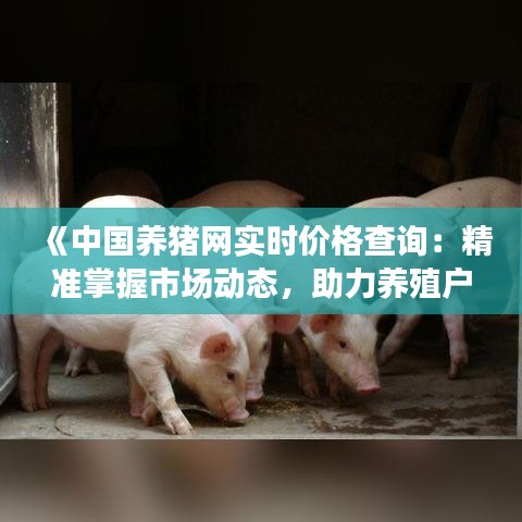 《中国养猪网实时价格查询：精准掌握市场动态，助力养殖户盈利》