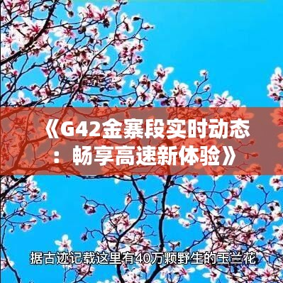 《G42金寨段实时动态：畅享高速新体验》