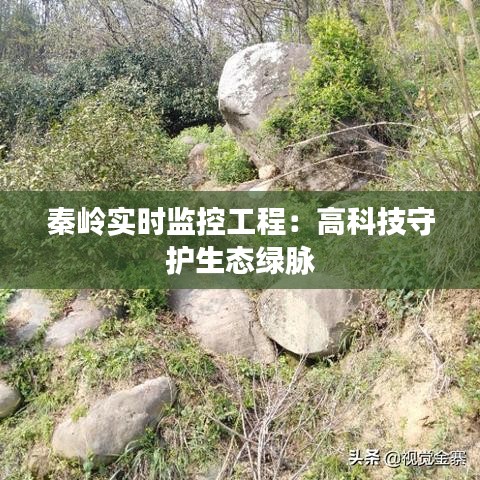 秦岭实时监控工程：高科技守护生态绿脉