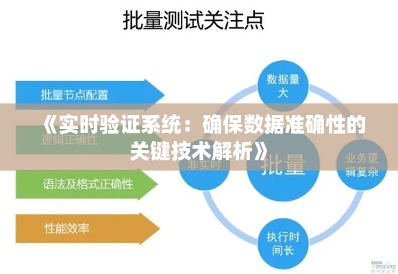 《实时验证系统：确保数据准确性的关键技术解析》