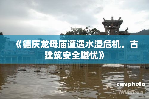 《德庆龙母庙遭遇水浸危机，古建筑安全堪忧》