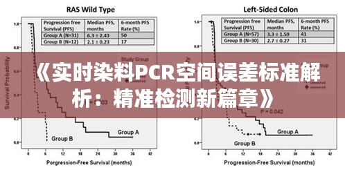 《实时染料PCR空间误差标准解析：精准检测新篇章》