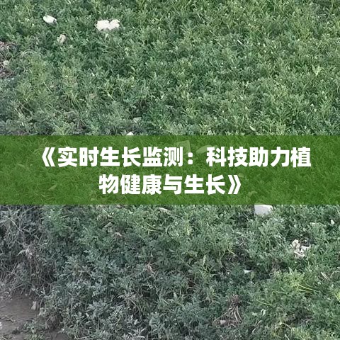 《实时生长监测：科技助力植物健康与生长》