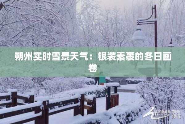 朔州实时雪景天气：银装素裹的冬日画卷