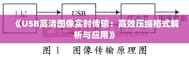 《USB高清图像实时传输：高效压缩格式解析与应用》