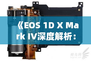 《EOS 1D X Mark IV深度解析：实时取景摄影新体验》