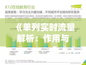 《单列实时流量解析：作用与价值深度探讨》